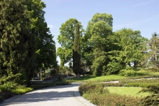 Mainau Park