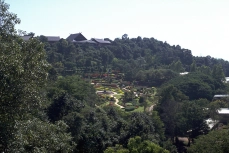 thaigarten-1